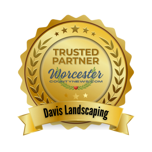 Why We Chose Davis Landscaping as Our Trusted Partner Why We Chose Davis Landscaping as Our Trusted Partner